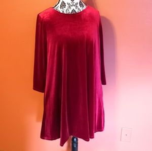 Velvet Swing Tunic